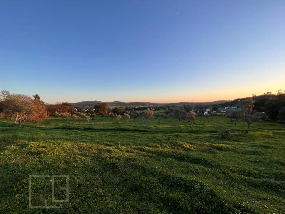 Terreno Agricola ou Rústico para Venda em Alegrete Foto 26