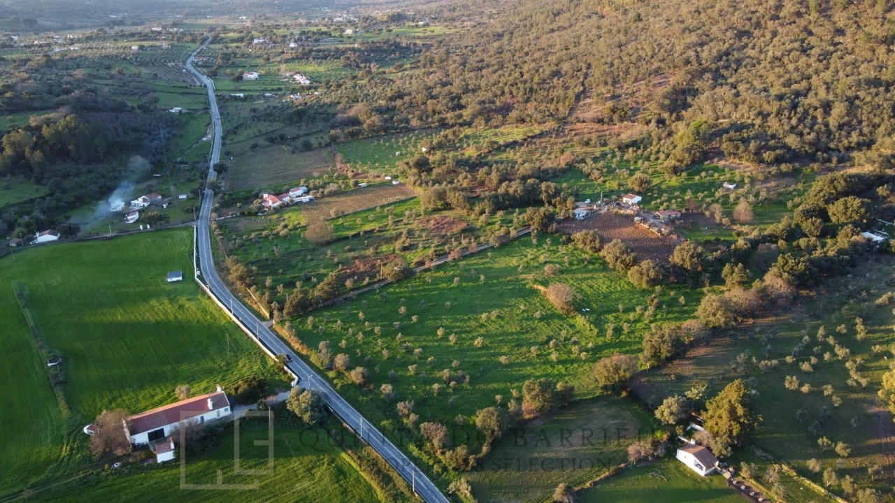 Terreno Agricola ou Rústico para Venda em Alegrete Foto 3