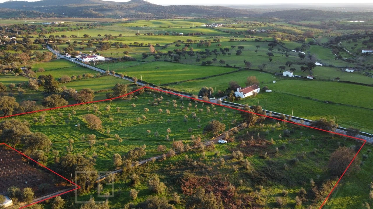Terreno Agricola ou Rústico para Venda em Alegrete Foto 6