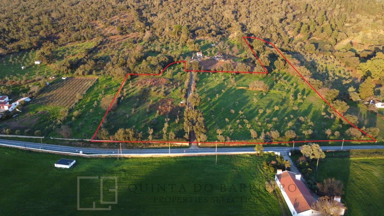 Terreno Agricola ou Rústico para Venda em Alegrete Foto 10