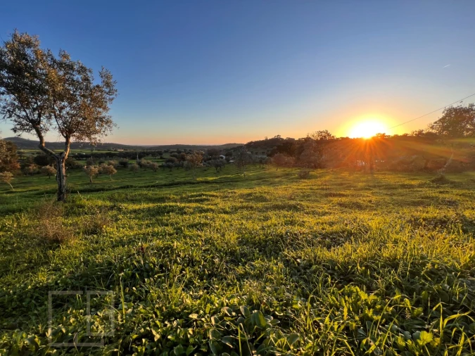 Terreno Agricola ou Rústico para Venda em Alegrete Foto 19