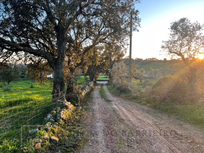 Terreno Agricola ou Rústico para Venda em Alegrete Foto 20