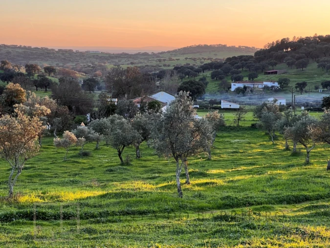 Terreno Agricola ou Rústico para Venda em Alegrete Foto 24