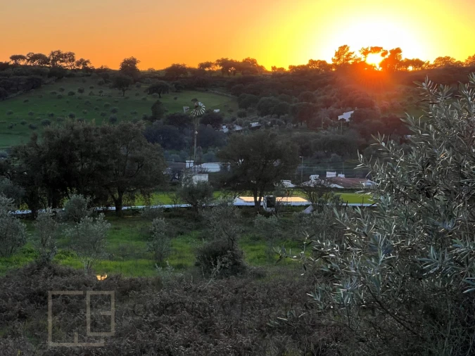 Terreno Agricola ou Rústico para Venda em Alegrete Foto 27