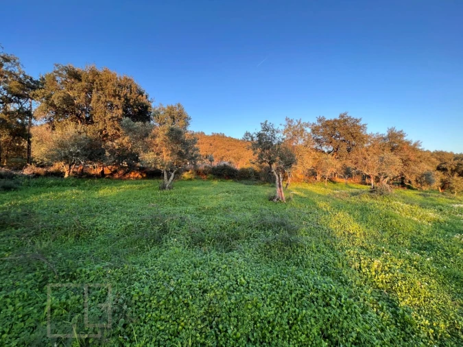 Terreno Agricola ou Rústico para Venda em Alegrete Foto 28