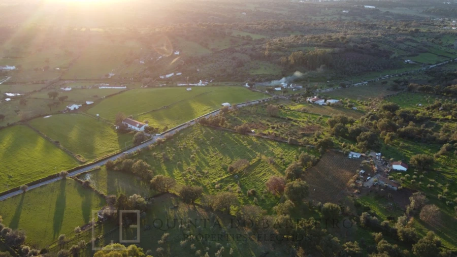 Terreno Agricola ou Rústico para Venda em Alegrete Foto 11