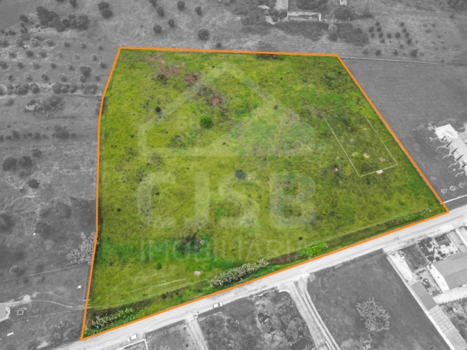 Terreno para Venda em Glória do Ribatejo e Granho Foto 8