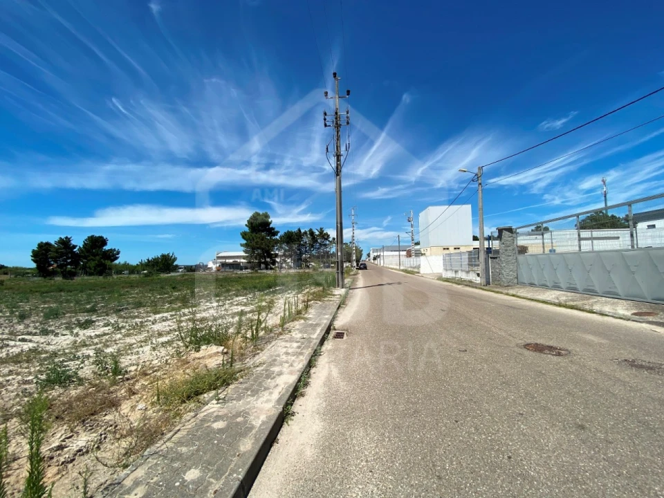 Terreno para Venda em Muge Foto 2