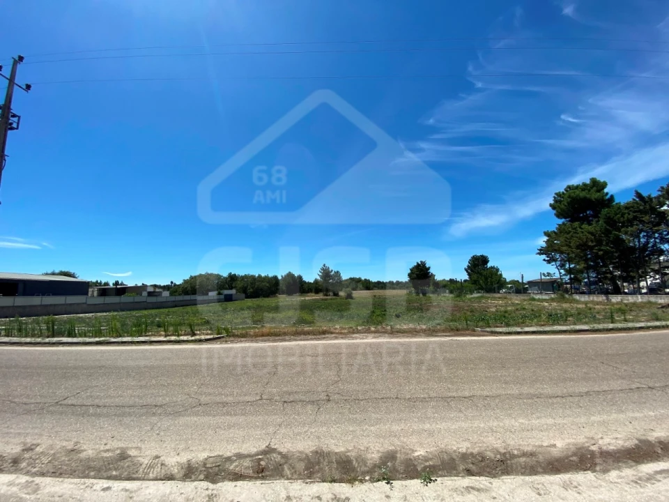 Terreno para Venda em Muge Foto 5