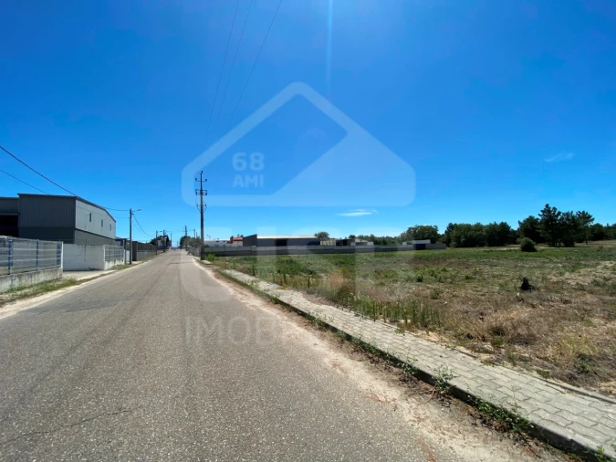 Terreno para Venda em Muge Foto 4