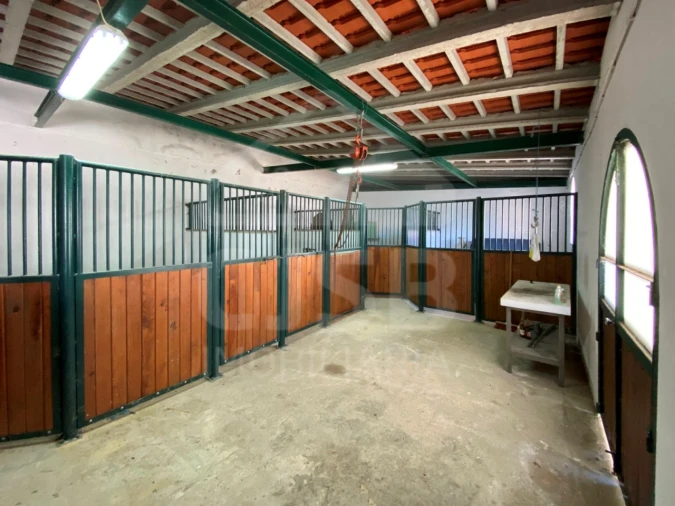 Quinta T6 para Venda em Alhandra, São João dos Montes e Calhandriz Foto 51