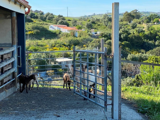Quinta T6 para Venda em Alhandra, São João dos Montes e Calhandriz Foto 55