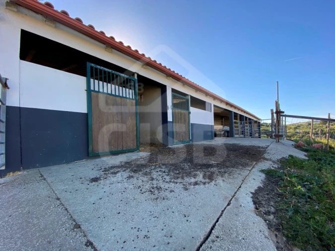 Quinta T6 para Venda em Alhandra, São João dos Montes e Calhandriz Foto 53