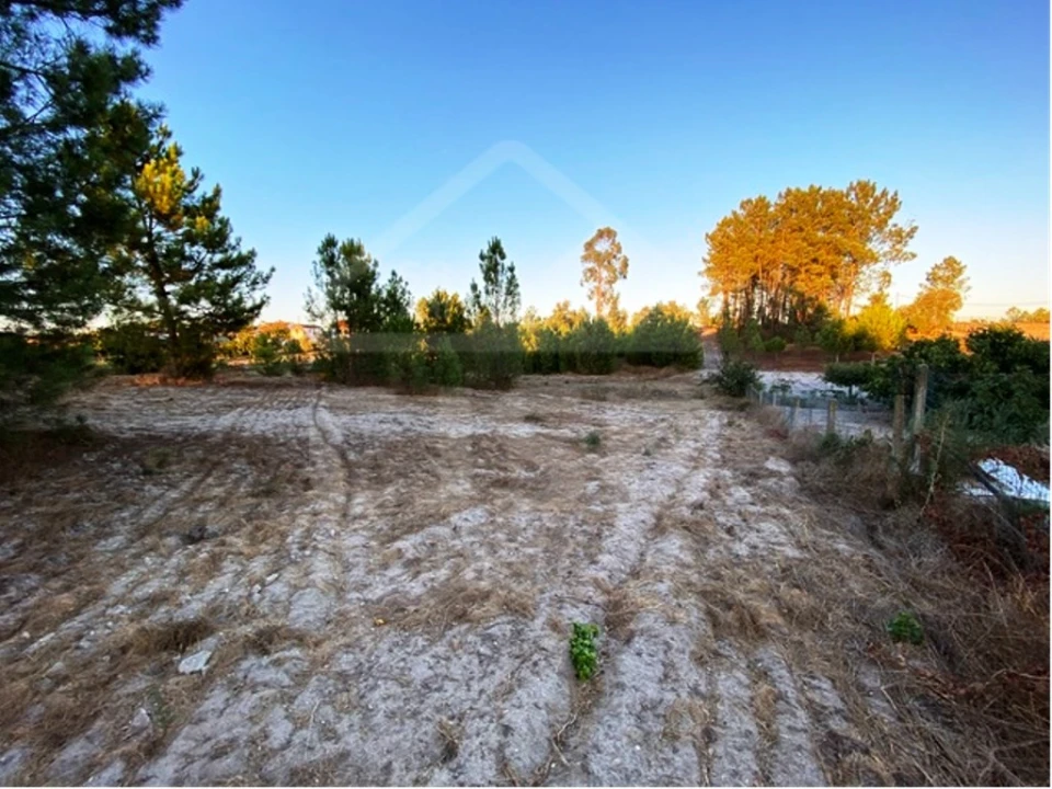 Terreno para Venda em Coruche, Fajarda e Erra Foto 2