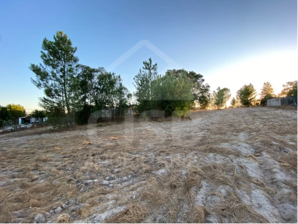 Terreno para Venda em Coruche, Fajarda e Erra Foto 5