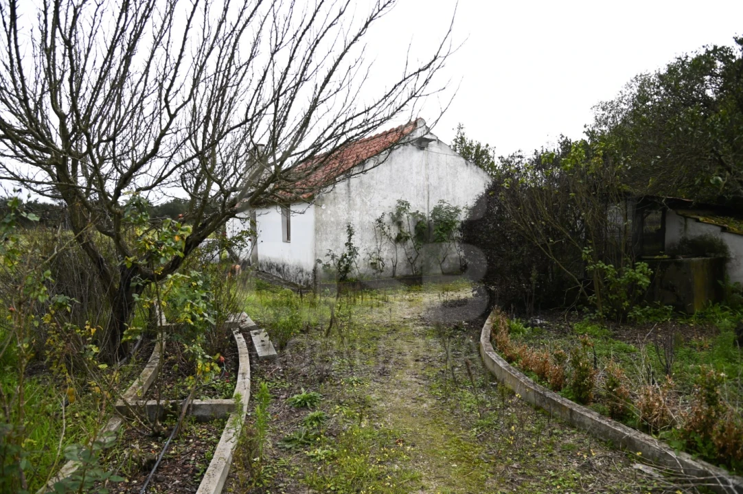 Moradia T3 para Venda em Branca Foto 21