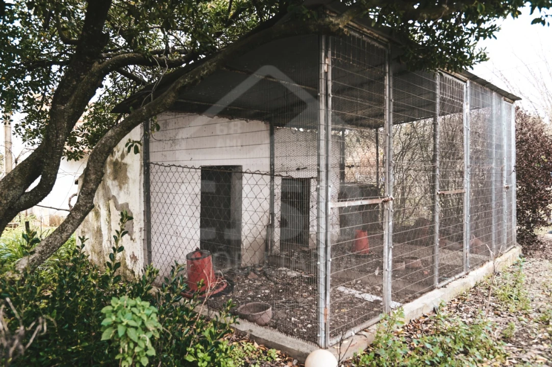 Moradia T3 para Venda em Branca Foto 31