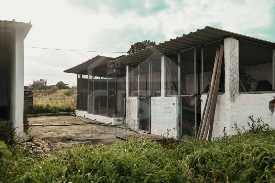 Moradia T3 para Venda em Branca Foto 32