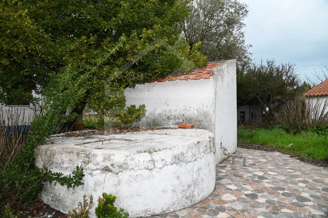 Moradia T3 para Venda em Branca Foto 33