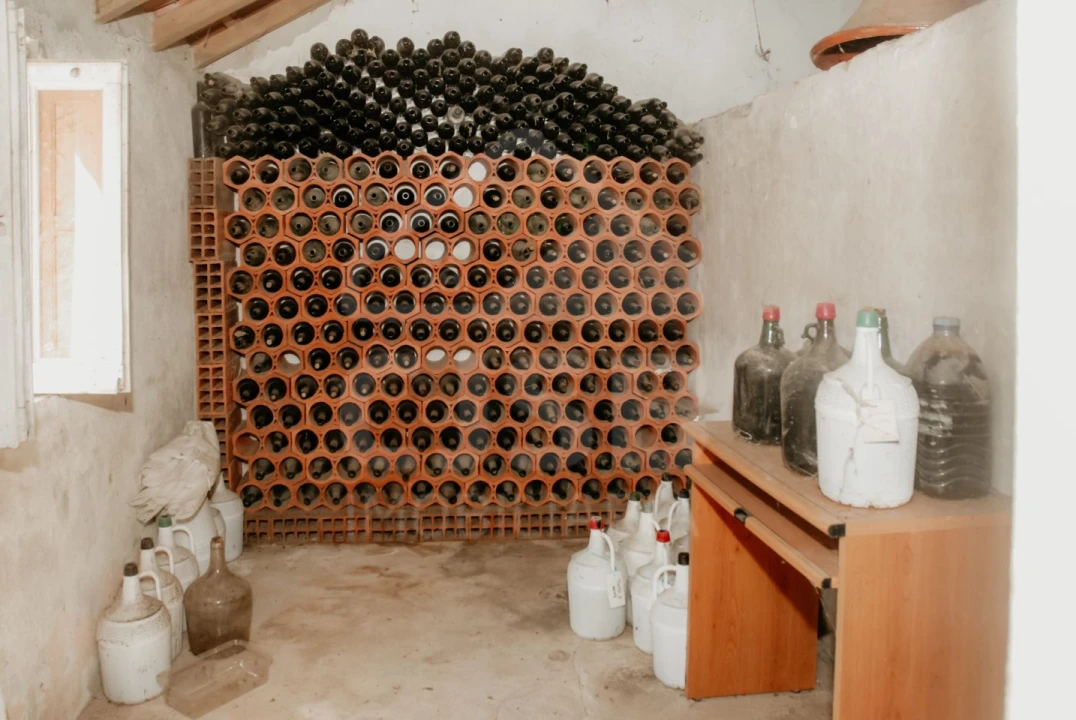 Moradia T3 para Venda em Branca Foto 26