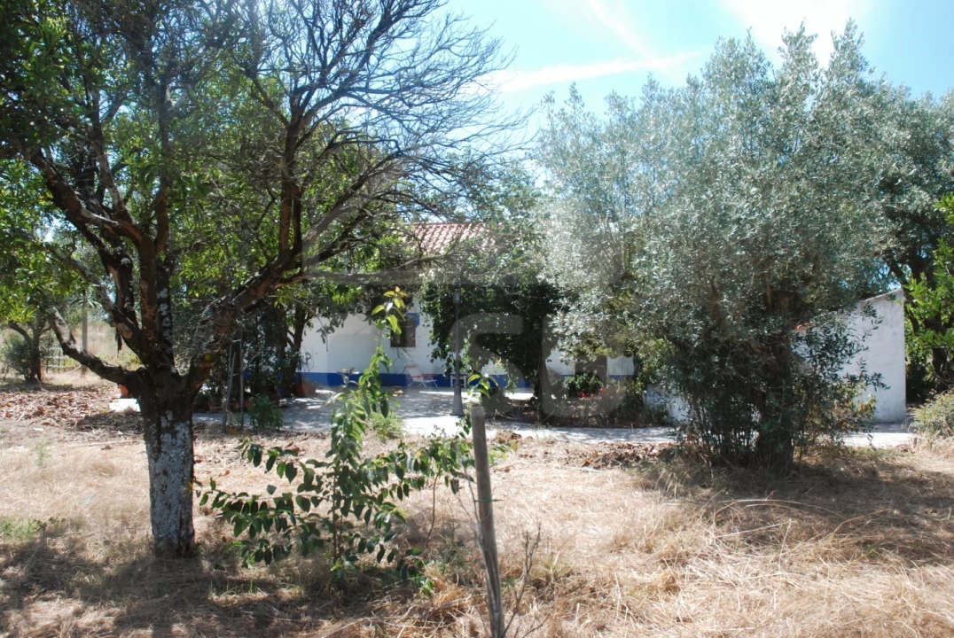 Moradia T3 para Venda em Branca Foto 34