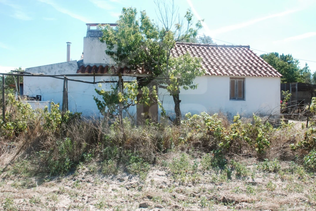 Moradia T3 para Venda em Branca Foto 35