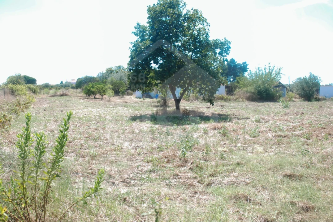 Moradia T3 para Venda em Branca Foto 38