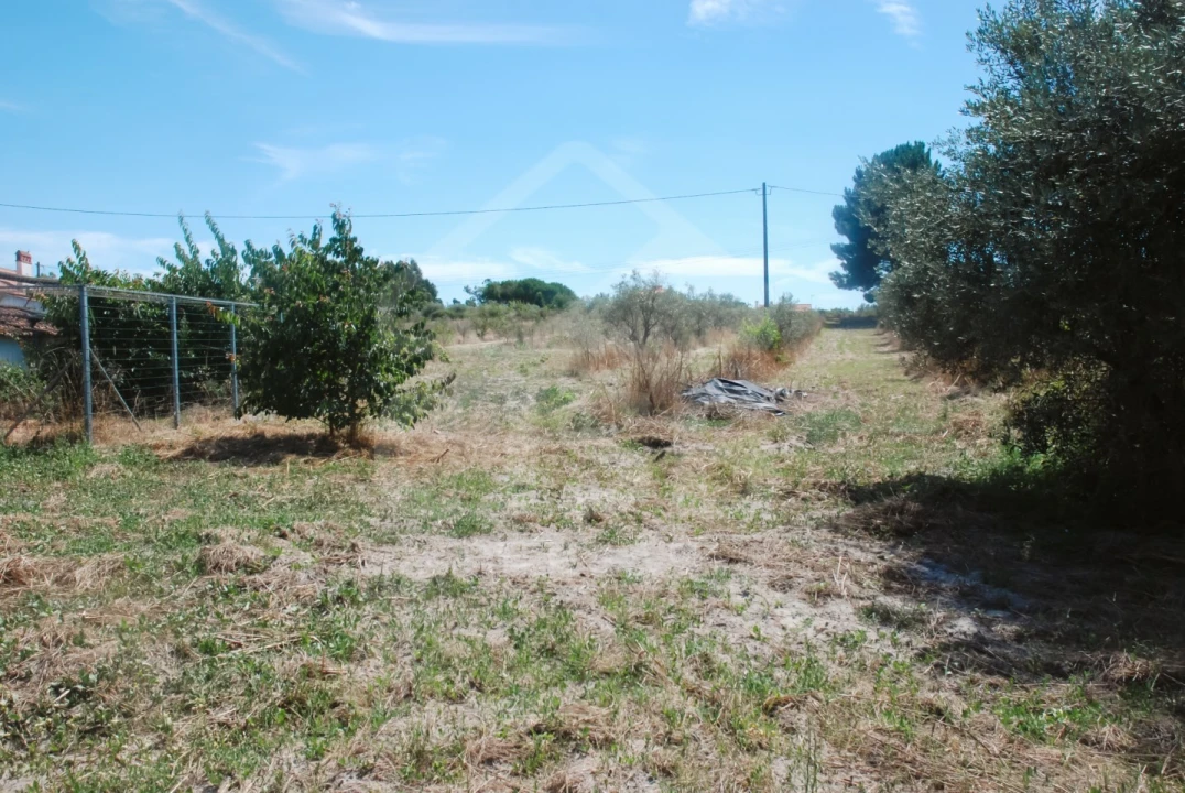 Moradia T3 para Venda em Branca Foto 39