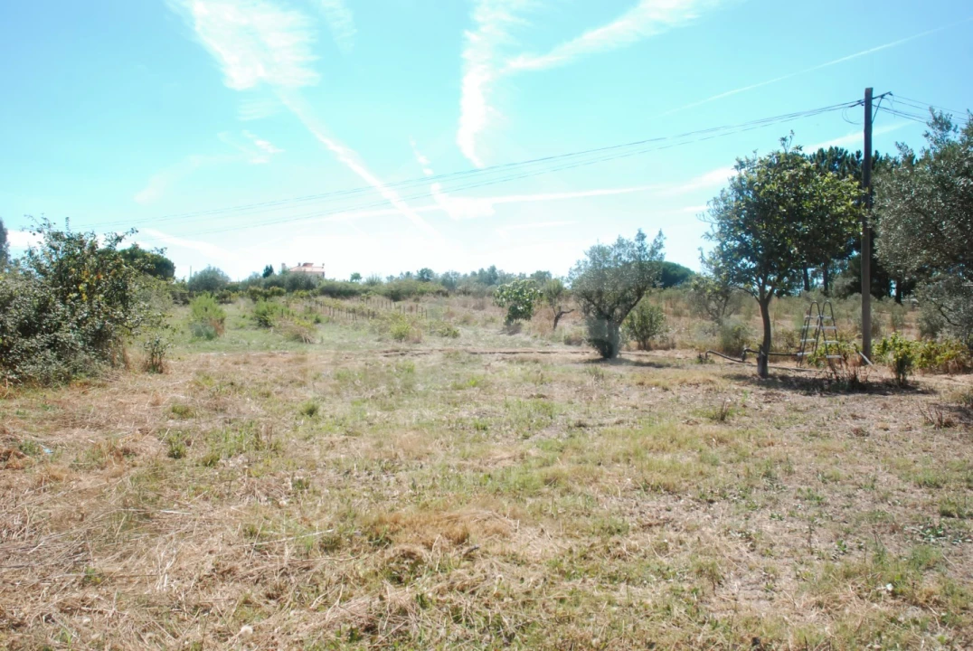 Moradia T3 para Venda em Branca Foto 40