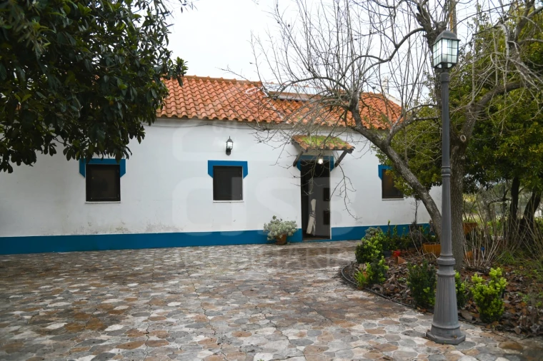 Moradia T3 para Venda em Branca Foto 4