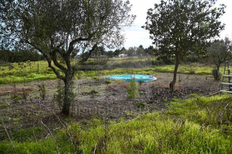 Moradia T3 para Venda em Branca Foto 30