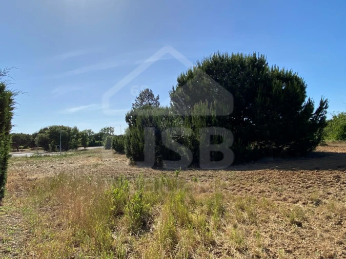 Terreno para Venda em Santo Estêvão Foto 5