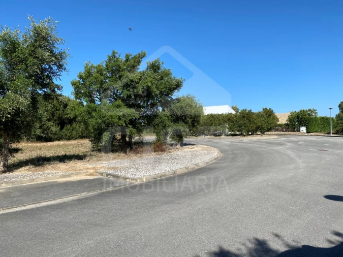 Terreno para Venda em Santo Estêvão Foto 8