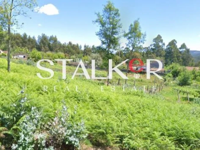 Terreno para Venda em Canedo, Vale e Vila Maior Foto 1