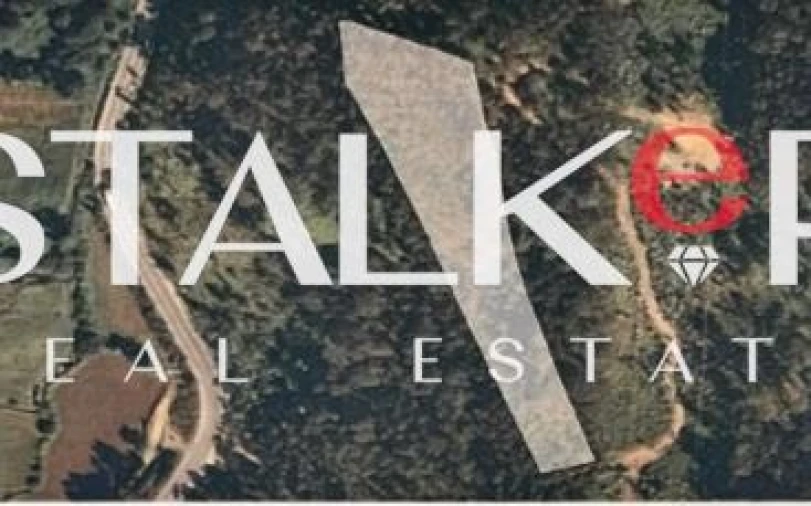 Terreno para Venda em Canedo, Vale e Vila Maior Foto 1