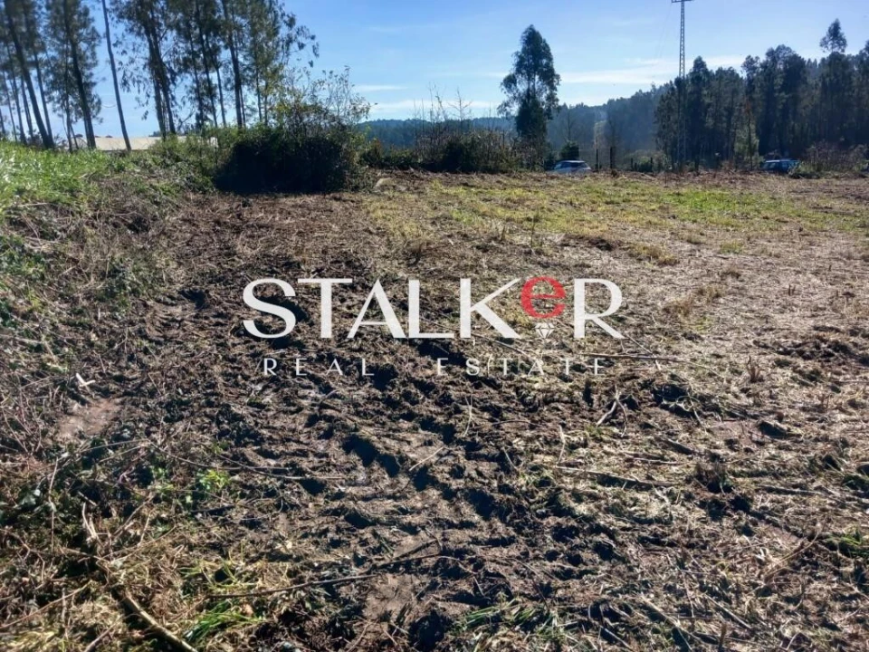 Terreno para Venda em Canedo, Vale e Vila Maior Foto 8