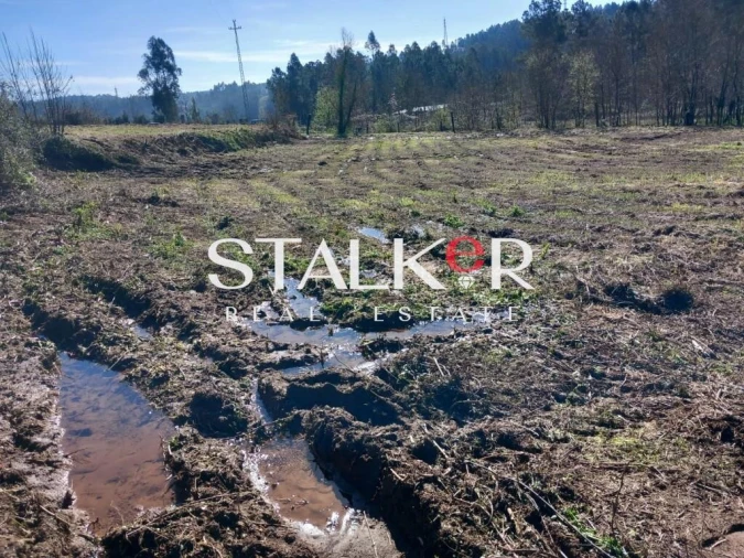 Terreno para Venda em Canedo, Vale e Vila Maior Foto 3
