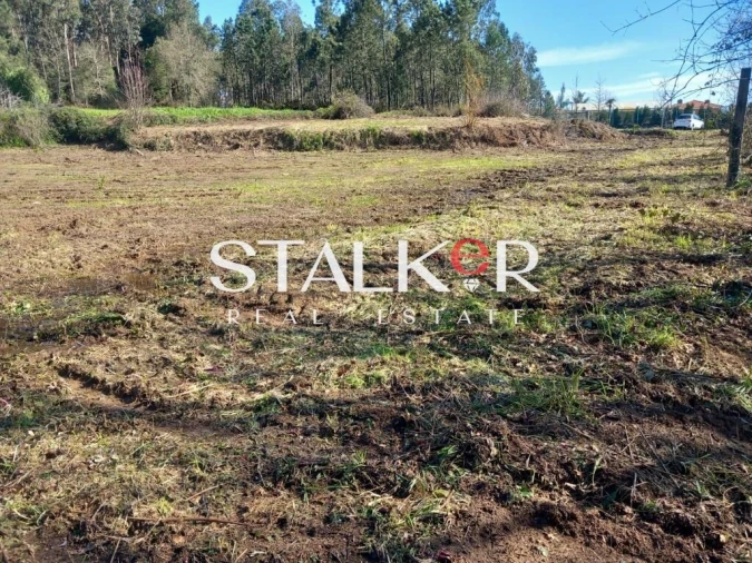 Terreno para Venda em Canedo, Vale e Vila Maior Foto 4