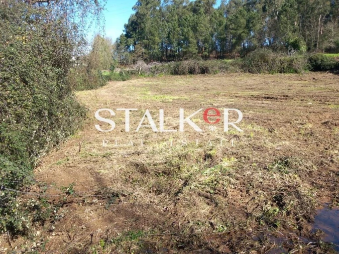 Terreno para Venda em Canedo, Vale e Vila Maior Foto 1