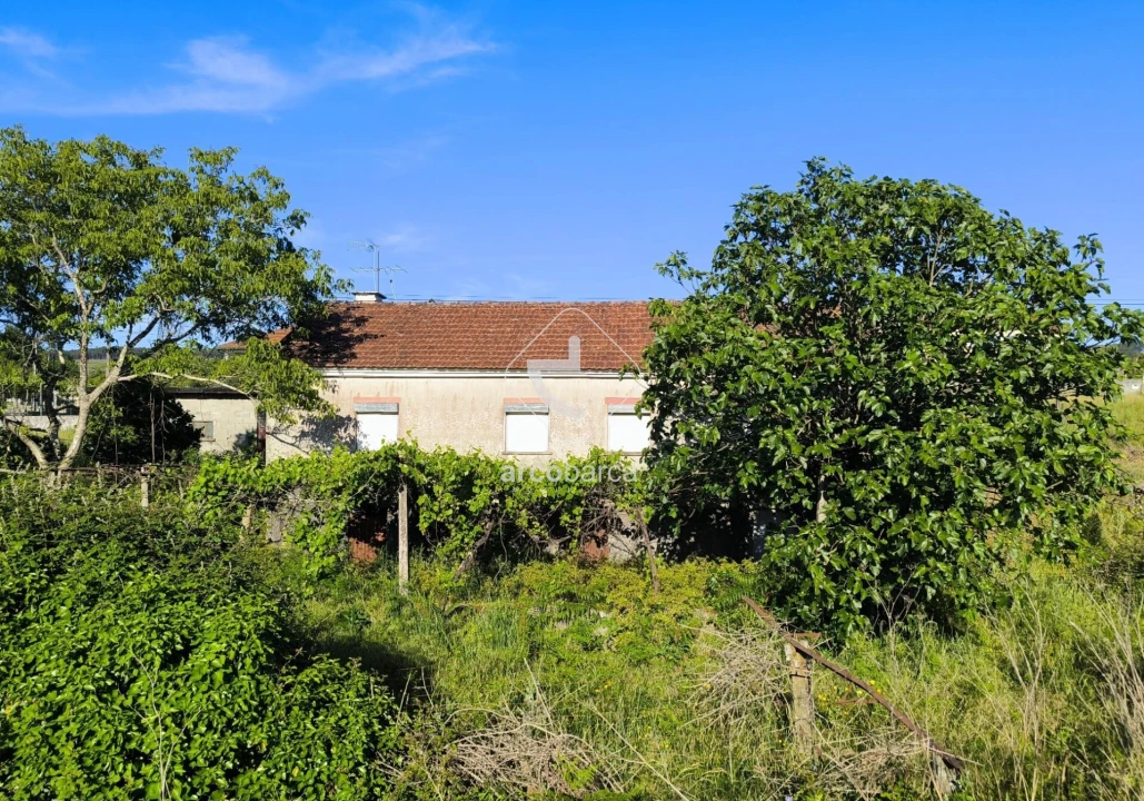 Moradia T3 para Venda em Agualonga Foto 51