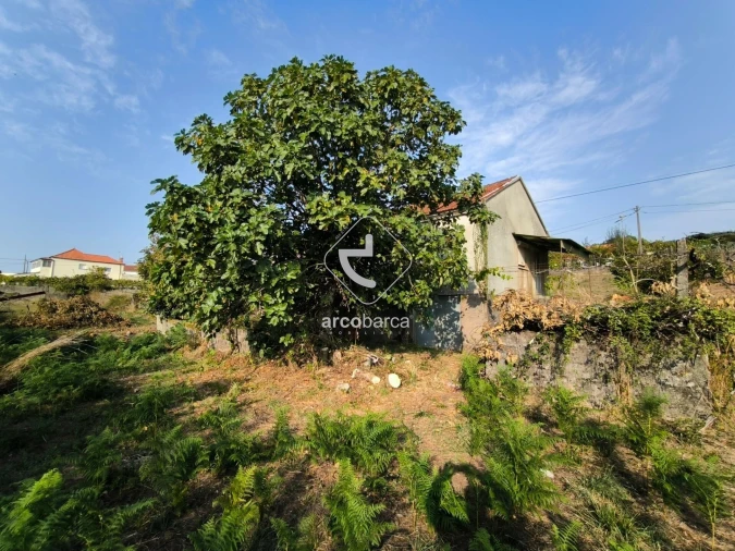 Moradia T3 para Venda em Agualonga Foto 31