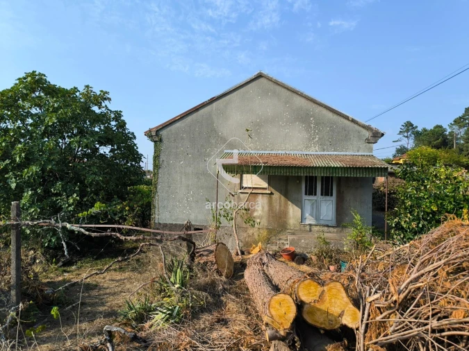 Moradia T3 para Venda em Agualonga Foto 4