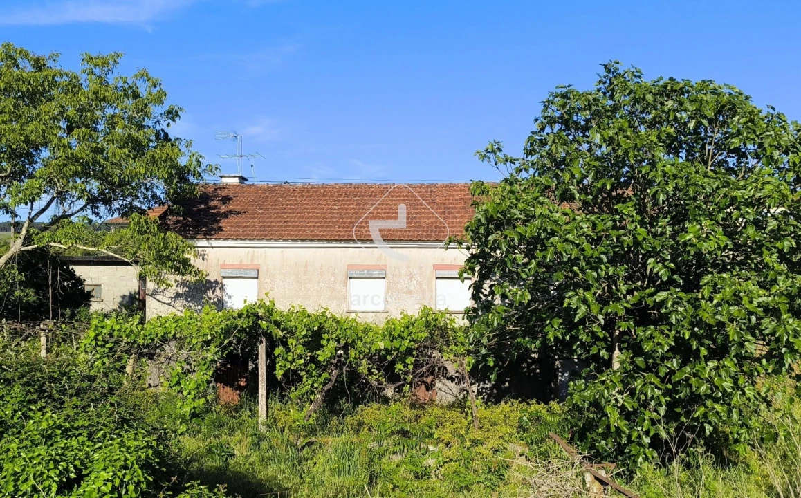 Moradia T3 para Venda em Agualonga Foto 9