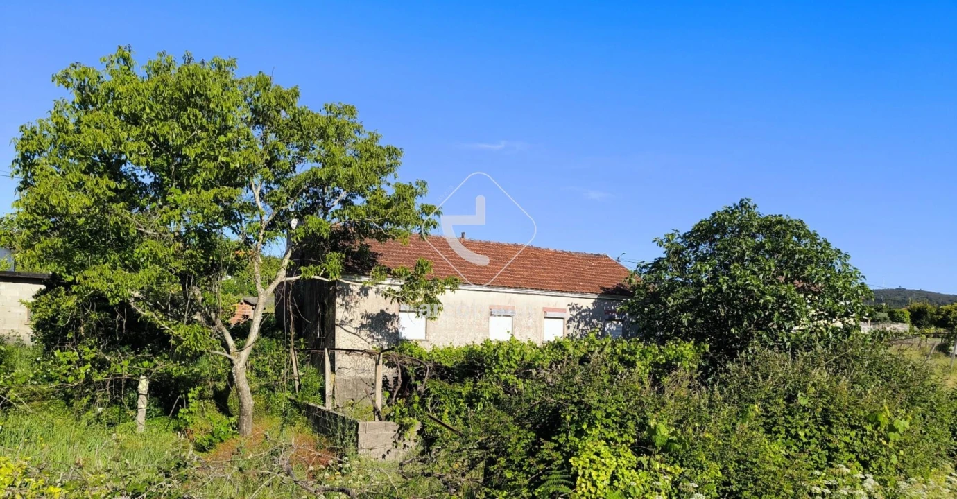 Moradia T3 para Venda em Agualonga Foto 12