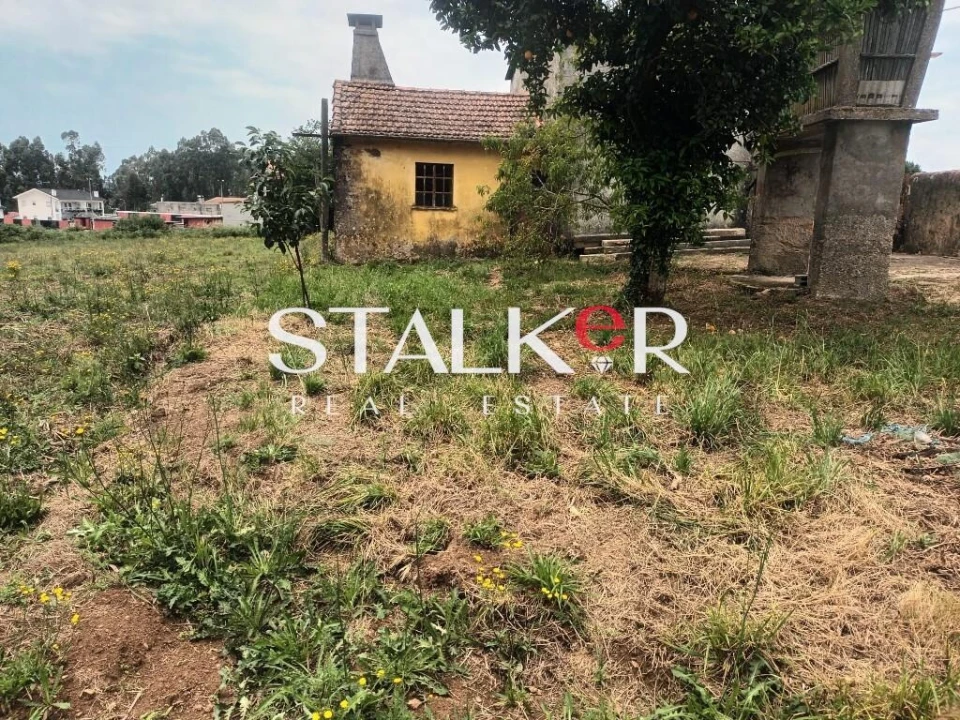 Moradia T2 para Venda em Caldas de São Jorge e Pigeiros Foto 5