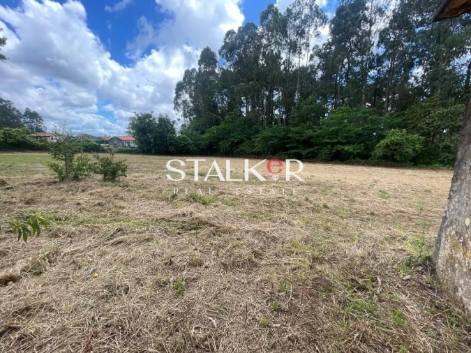 Moradia T2 para Venda em Caldas de São Jorge e Pigeiros Foto 28