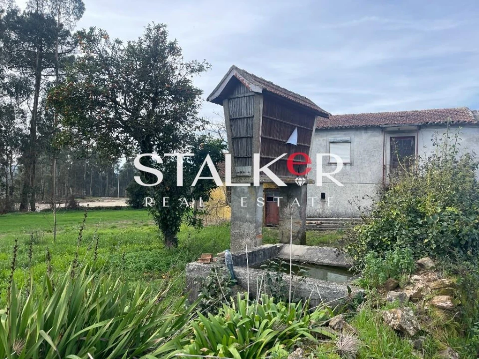 Moradia T2 para Venda em Caldas de São Jorge e Pigeiros Foto 13