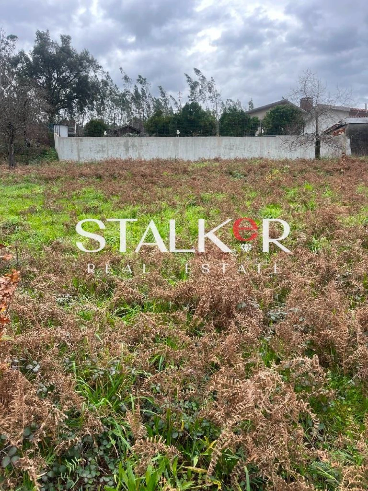 Terreno para Venda em Caldas de São Jorge e Pigeiros Foto 15