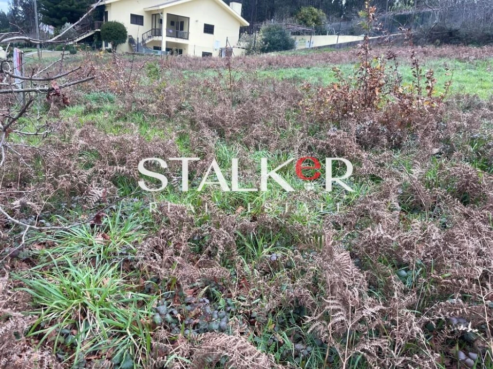 Terreno para Venda em Caldas de São Jorge e Pigeiros Foto 12