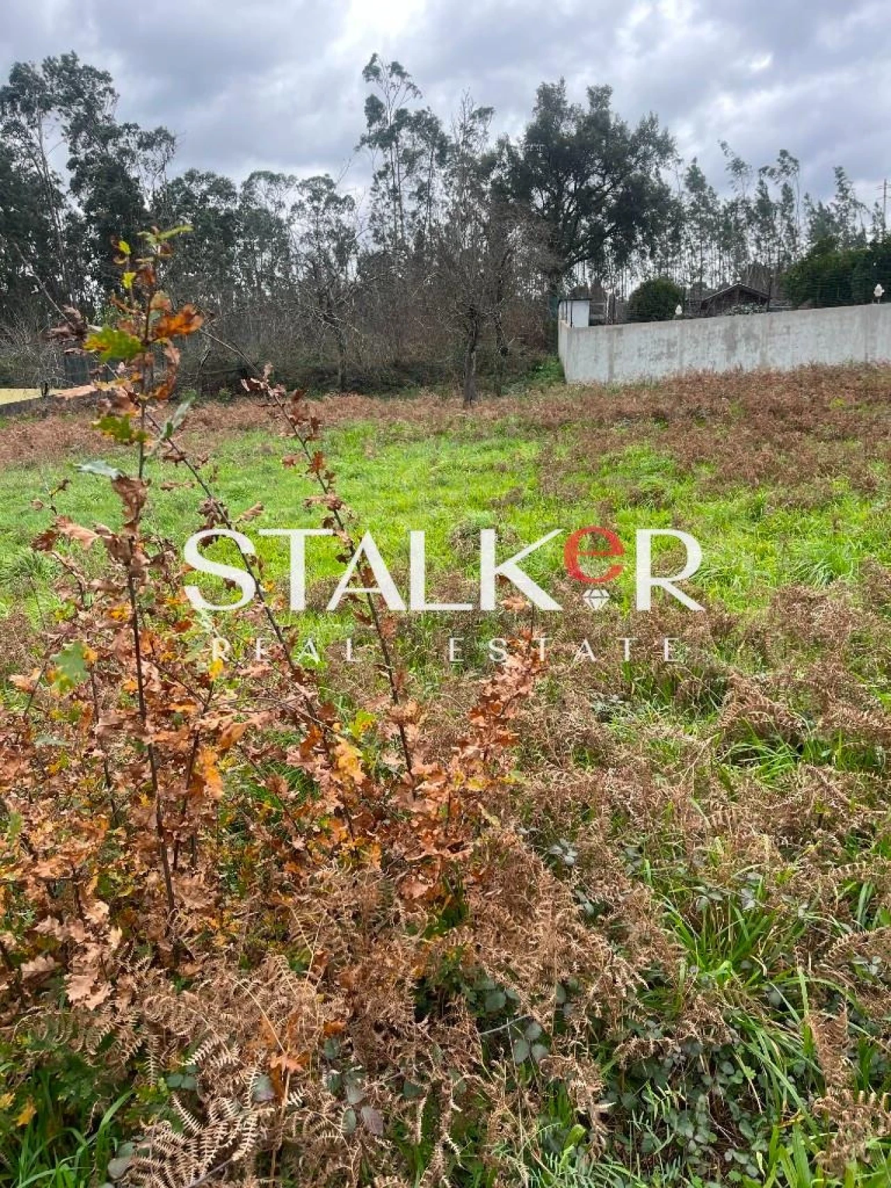 Terreno para Venda em Caldas de São Jorge e Pigeiros Foto 14